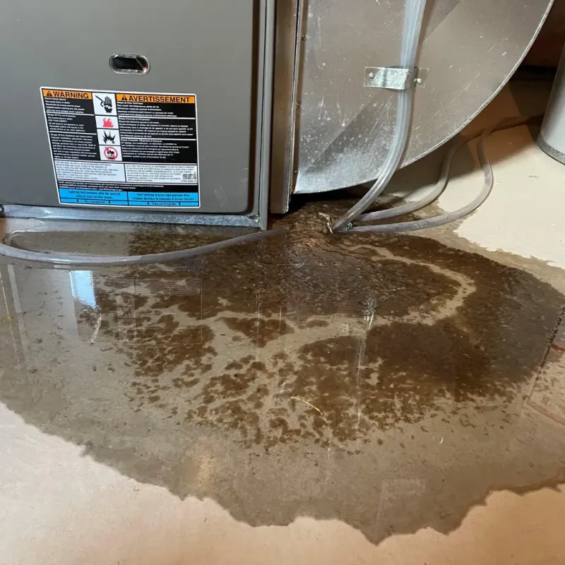 Appliance Leak Cleanup in Pocahontas County, WV