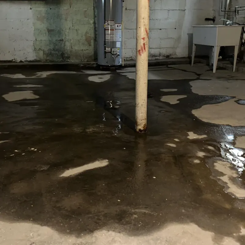 Emergency Water Extraction And Removal in Pocahontas County, WV